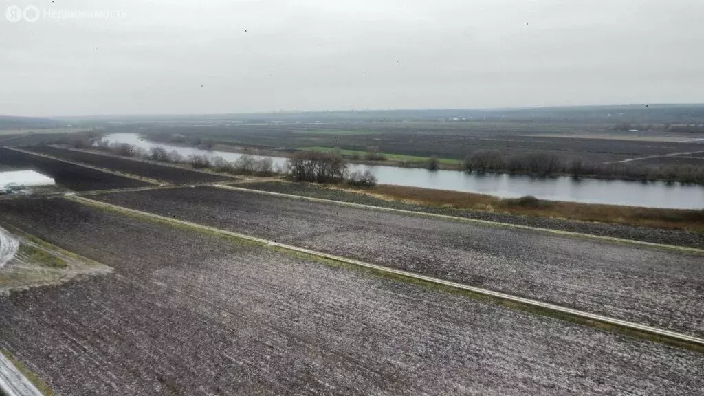 Участок в Московская область, городской округ Серпухов, деревня Селино ... - Фото 1