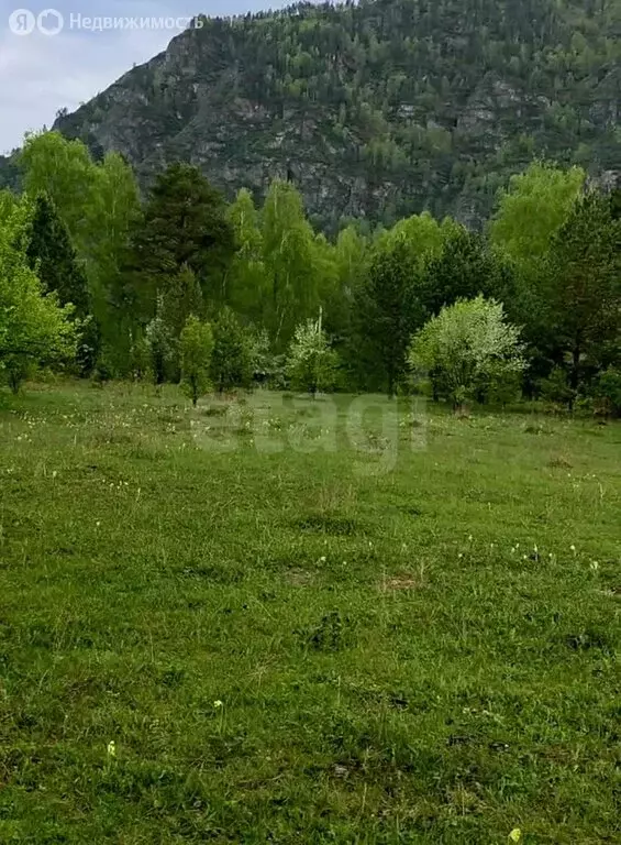 Участок в Чемальский район, Узнезинское сельское поселение, село ... - Фото 2