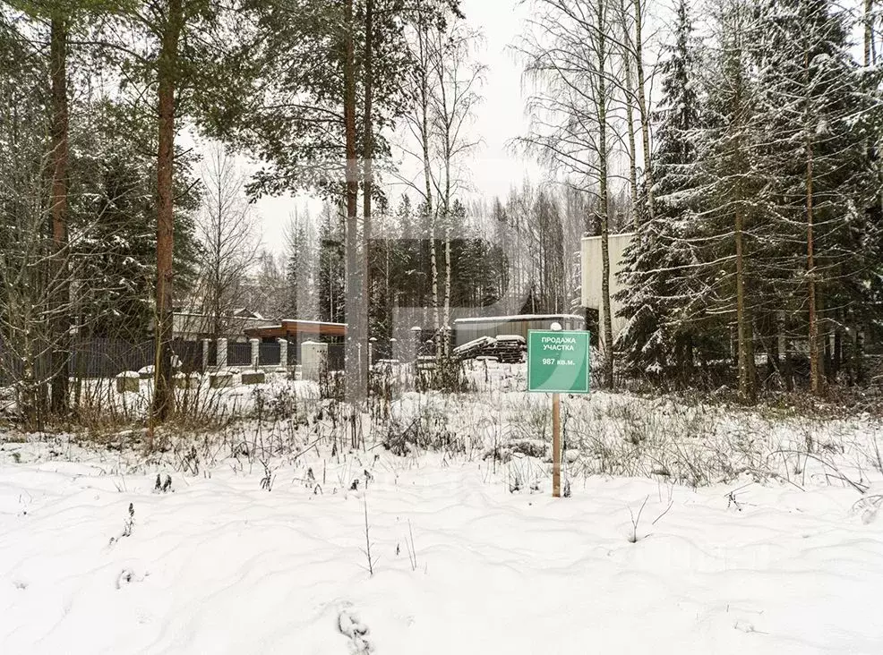 Участок в Ленинградская область, Всеволожский район, Бугровское ... - Фото 1