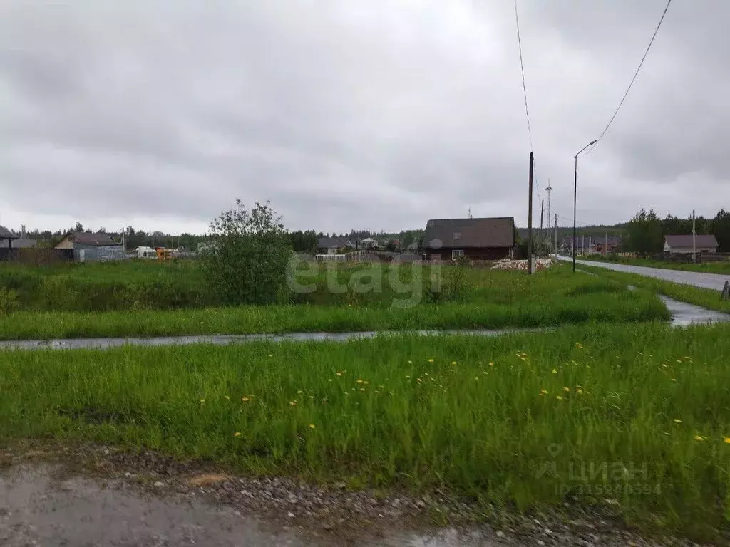 Участок в Свердловская область, Талица ул. Трудящихся (5.0 сот.) - Фото 1