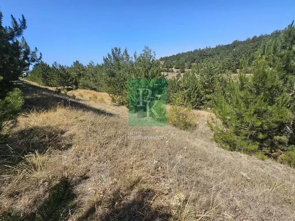 Участок в Севастополь  (8.0 сот.) - Фото 2