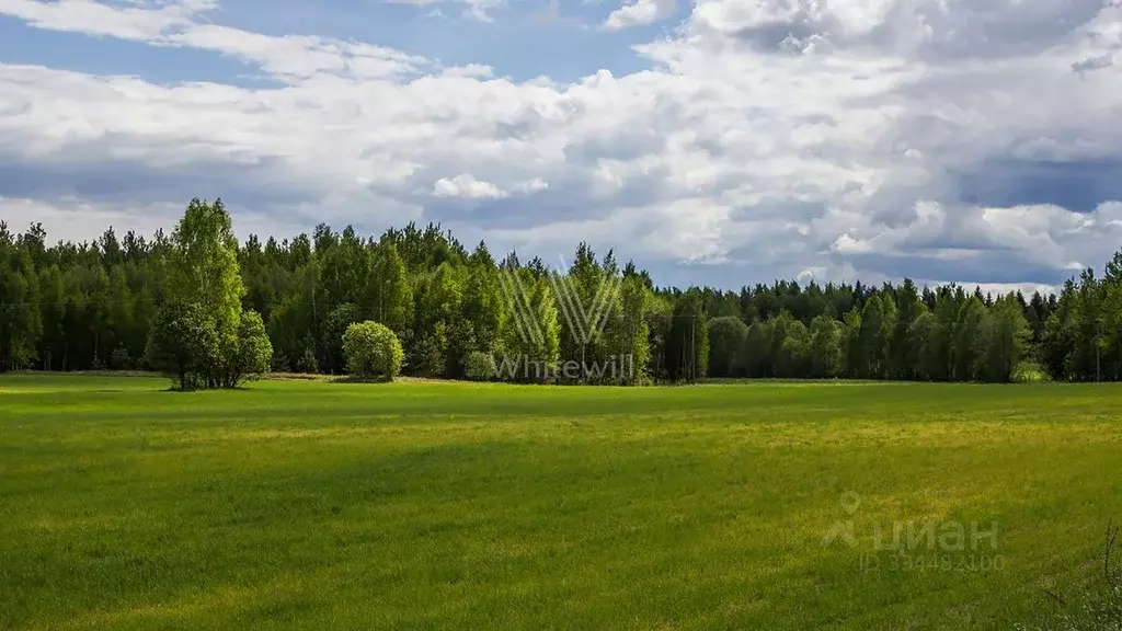 Участок в Московская область, Одинцовский городской округ, Иславское ... - Фото 2