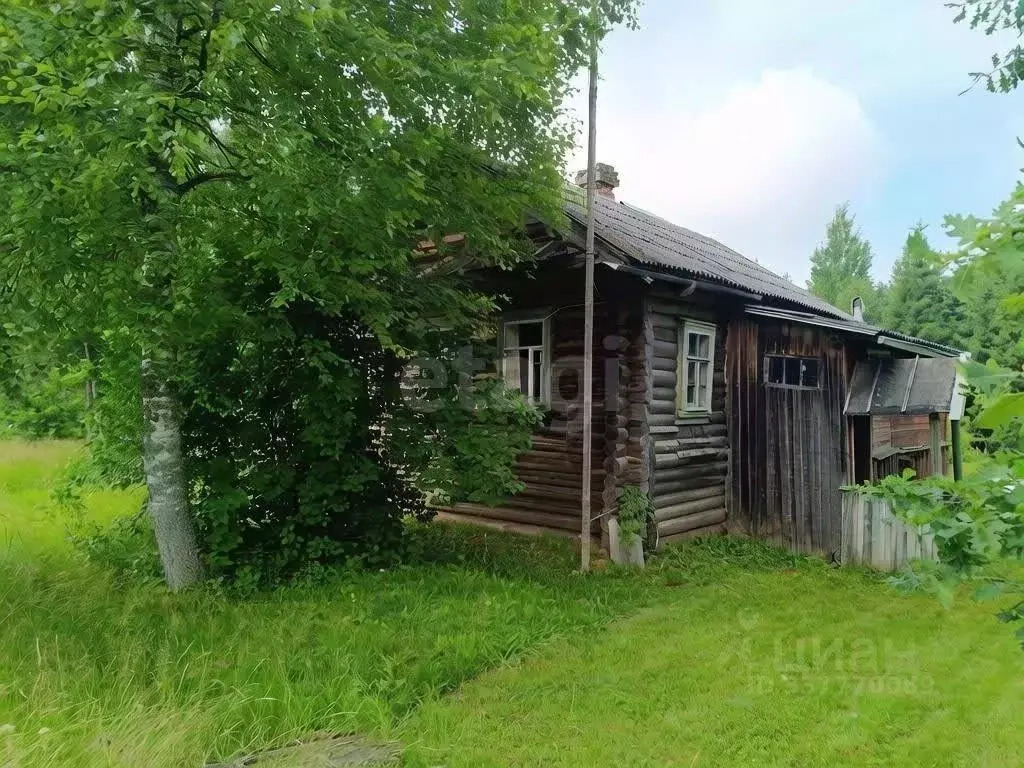 Дом в Новгородская область, Любытинский муниципальный округ, ... - Фото 1