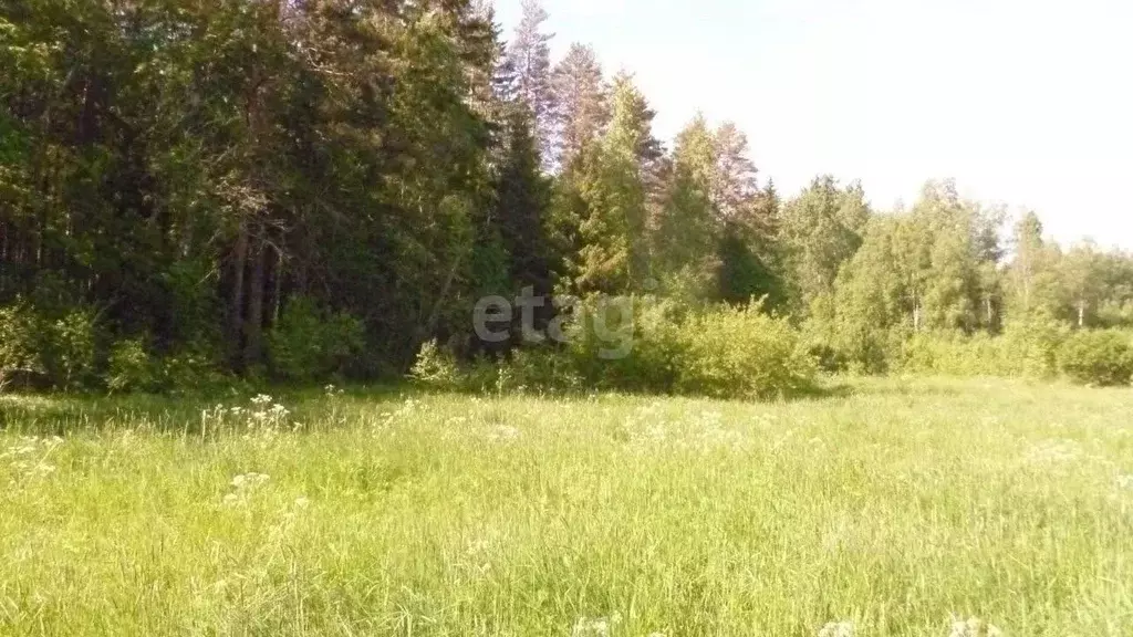 Участок в Ленинградская область, Выборгский район, Полянское с/пос, ... - Фото 0