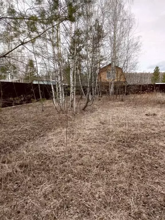 Участок в Нижегородская область, Богородский муниципальный округ, ... - Фото 0