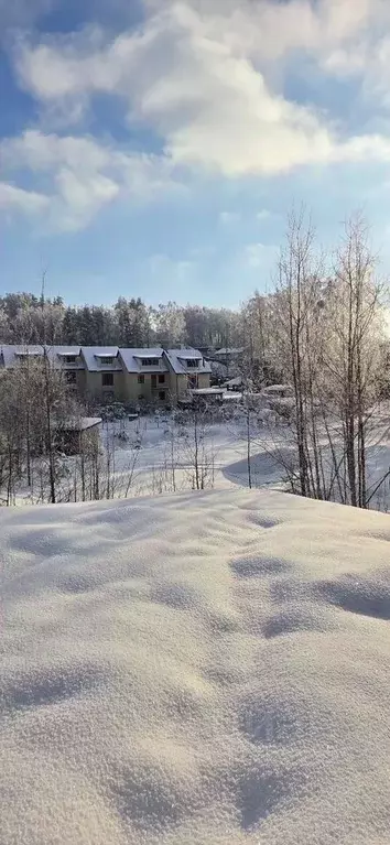 Участок в Ленинградская область, Всеволожский район, Колтушское ... - Фото 1