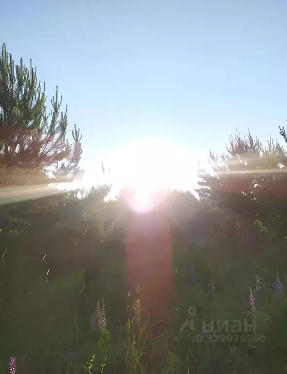 Участок в Пермский край, Пермский муниципальный округ, д. Мысы  (30.57 ... - Фото 0