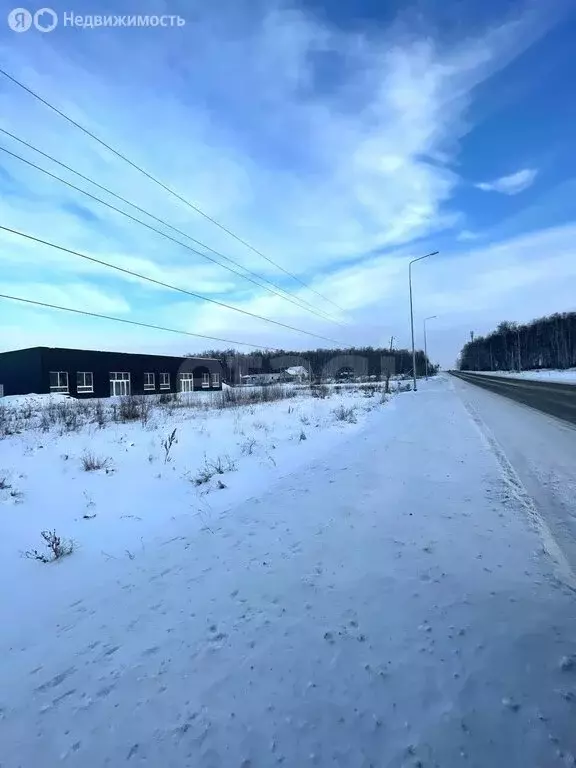 Участок в Челябинская область, Сосновский муниципальный округ, посёлок ... - Фото 1