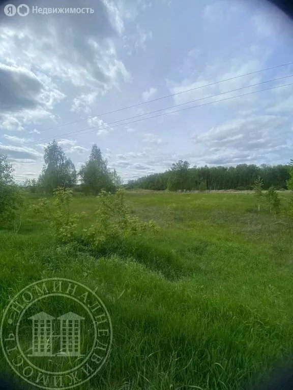 Участок в Новосибирский район, Верх-Тулинский сельсовет (1018 м) - Фото 1