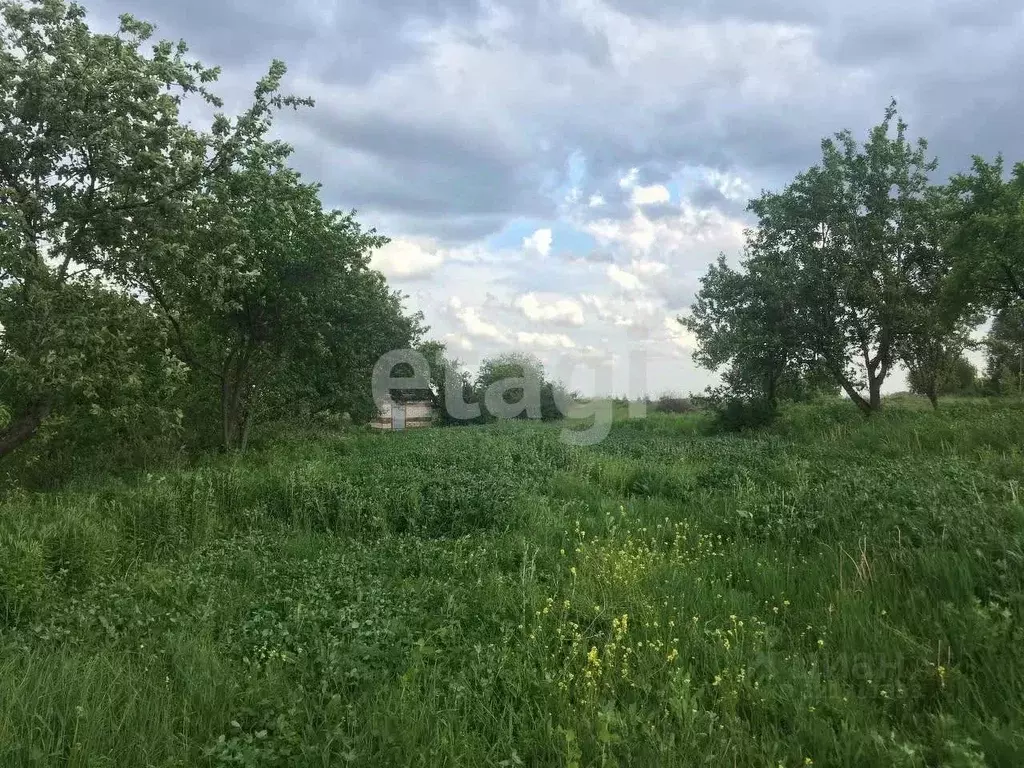 Участок в Брянская область, Брянский район, Мичуринское с/пос, ... - Фото 1