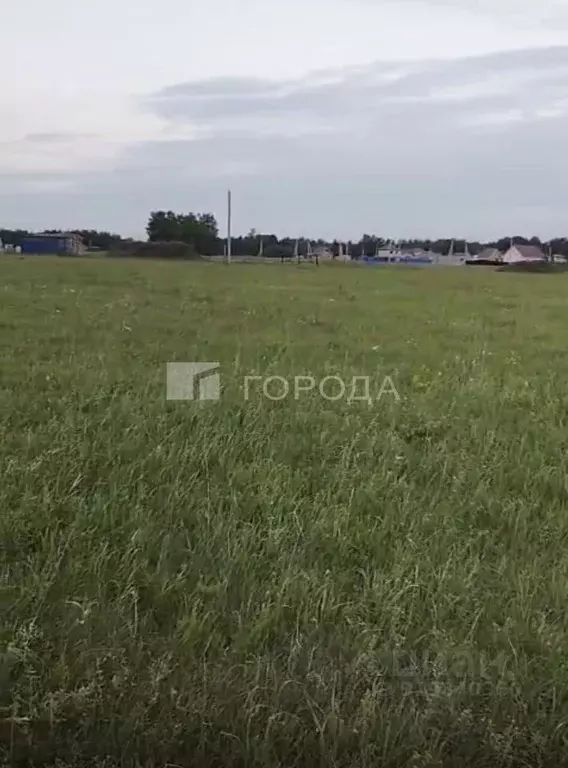 Участок в Новосибирская область, Новосибирский район, Морской ... - Фото 1
