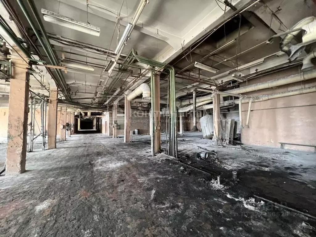 Помещение свободного назначения в Владимирская область, Владимир ... - Фото 2