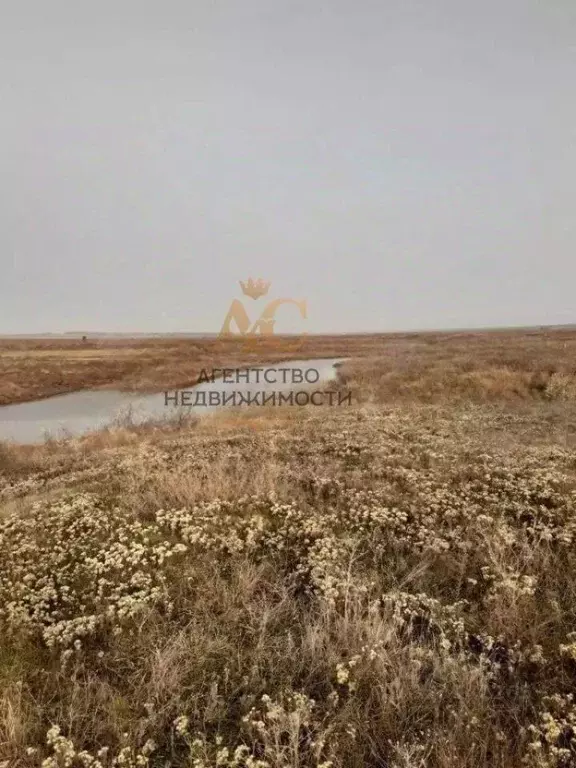 Участок в Крым, Ленинский район, Батальненское с/пос, Нептун СНТ  (6.9 ... - Фото 1