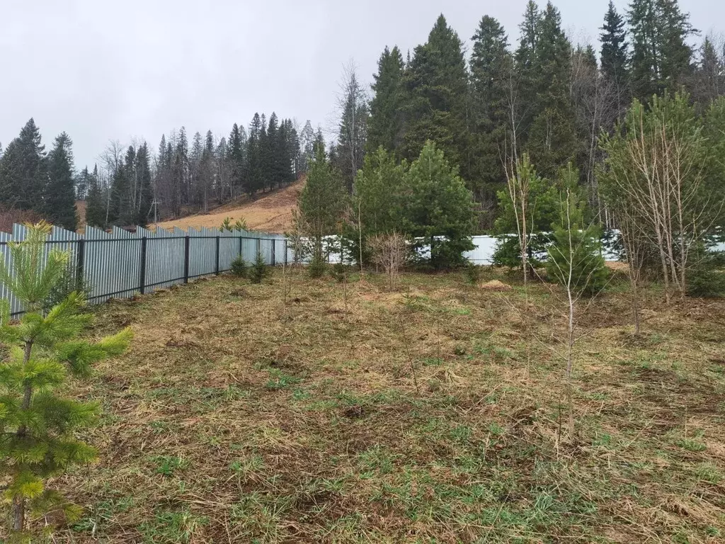 Участок в Пермский край, Краснокамский муниципальный округ, д. ... - Фото 2