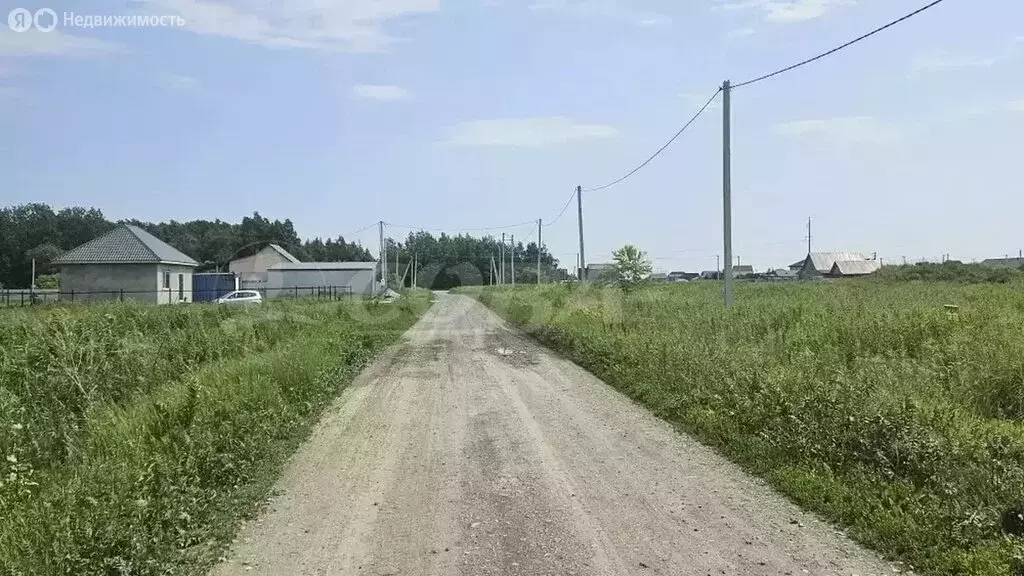 Участок в Тюменский муниципальный округ, село Борки (6.6 м) - Фото 2