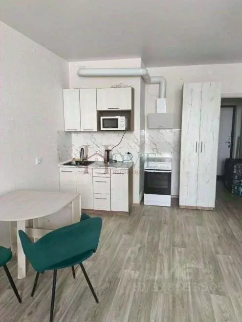 1-к кв. Новосибирская область, Новосибирск ул. Бородина, 56 (30.0 м) - Фото 0