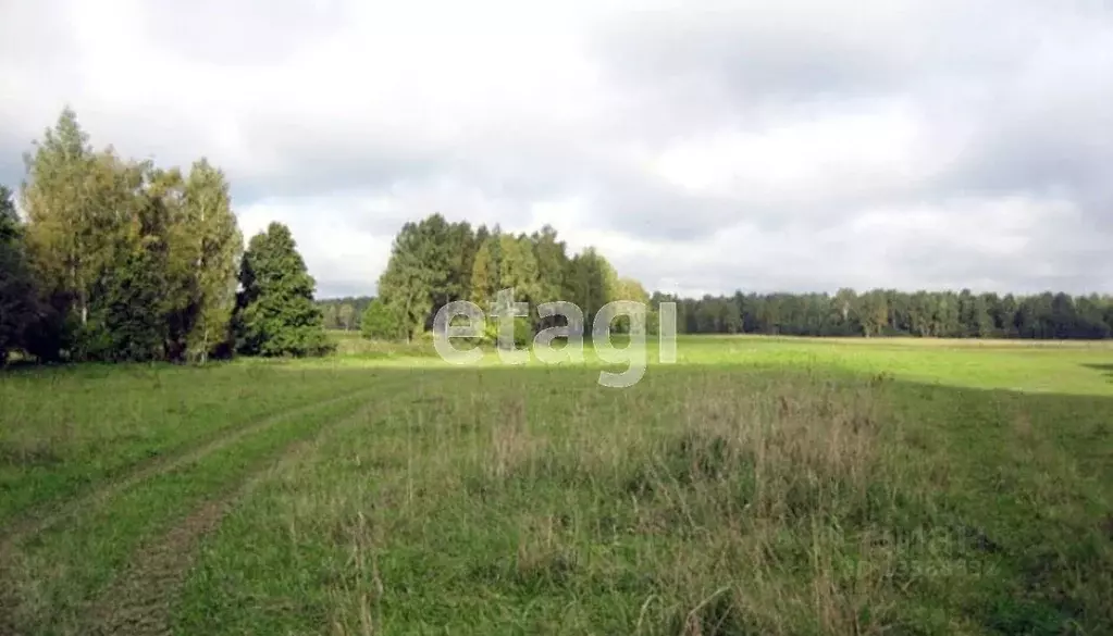 Участок в Красноярский край, Сухобузимский район, Миндерлинский ... - Фото 0