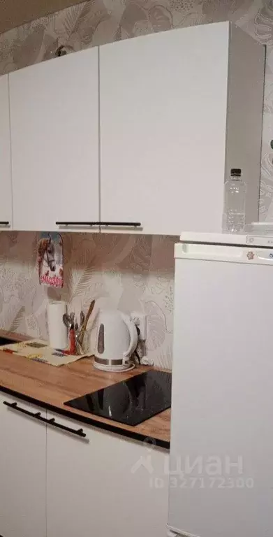 Студия Алтайский край, Бийск Ленинградская ул., 63 (25.0 м) - Фото 2