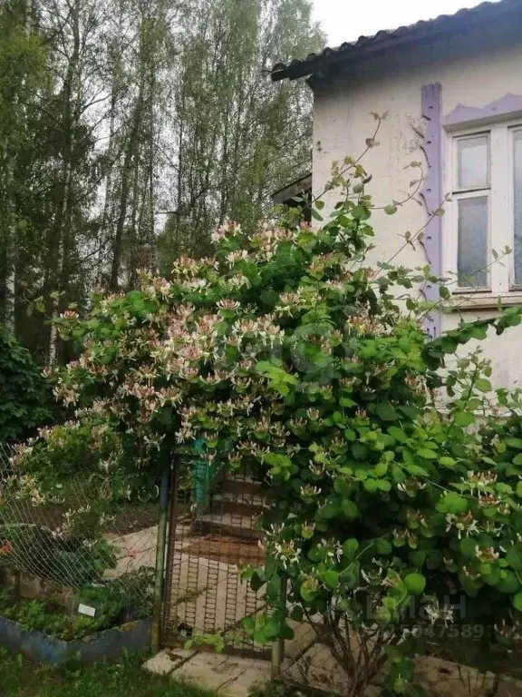 Дом в Псковская область, Островский район, Воронцовская волость, д. ... - Фото 2
