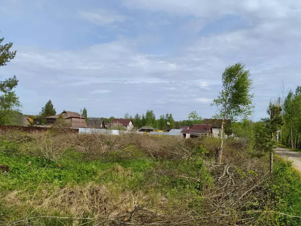 Участок в Ленинградская область, Кировский район, Синявинское ... - Фото 2