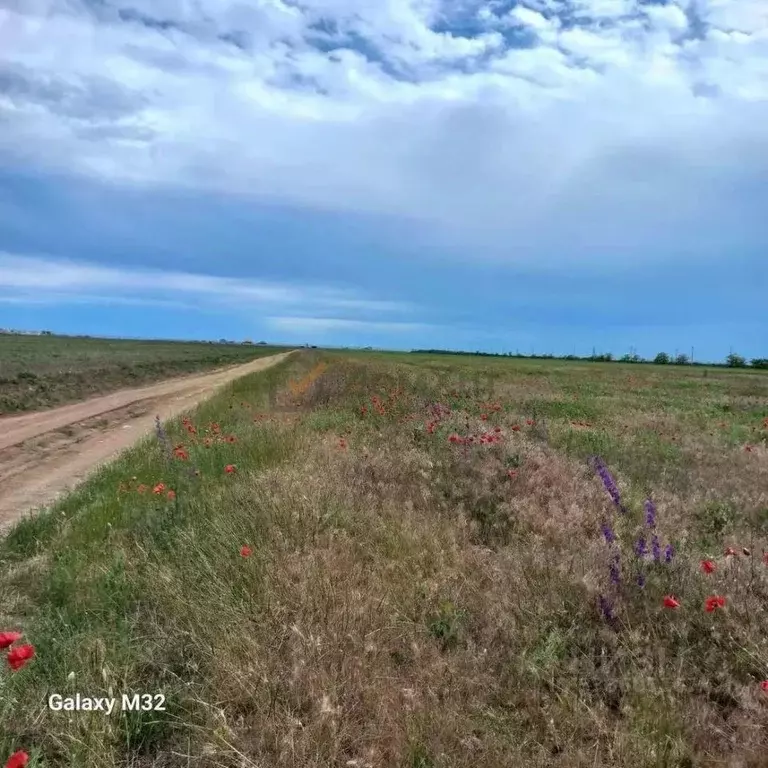 Участок в Крым, Сакский район, с. Молочное ул. Пионерская (7.0 сот.) - Фото 2