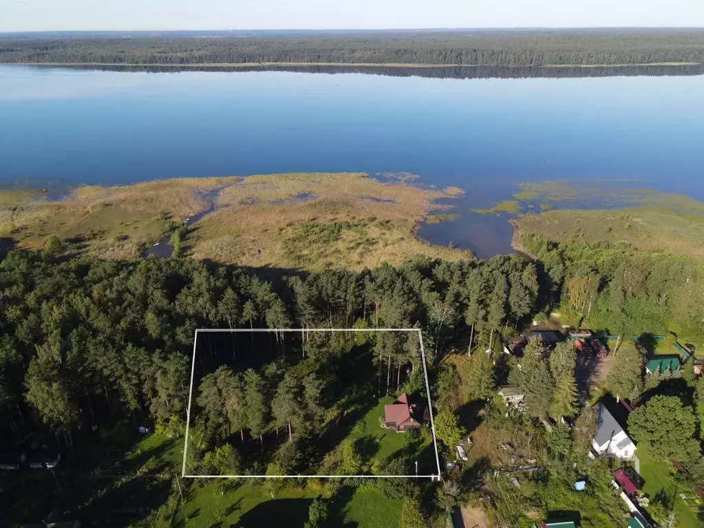 Дом в Ленинградская область, Выборгский район, Рощинское городское ... - Фото 1