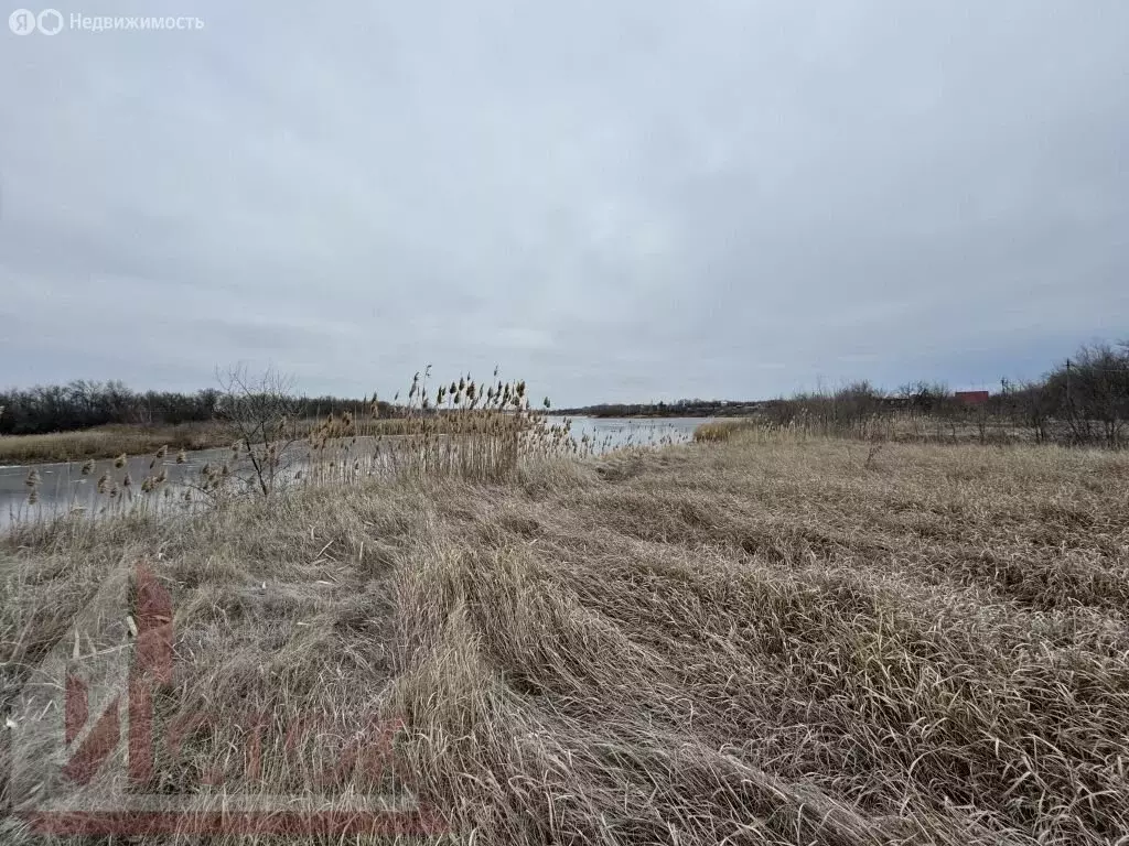 Участок в Энгельсский район, Новопушкинское муниципальное образование, ... - Фото 0