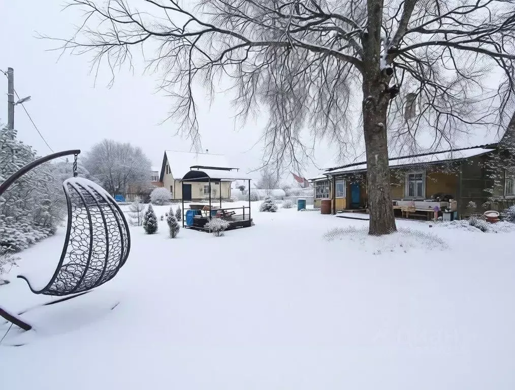 Дом в Ленинградская область, Гатчинский район, д. Луйсковицы 23 (43 м) - Фото 1