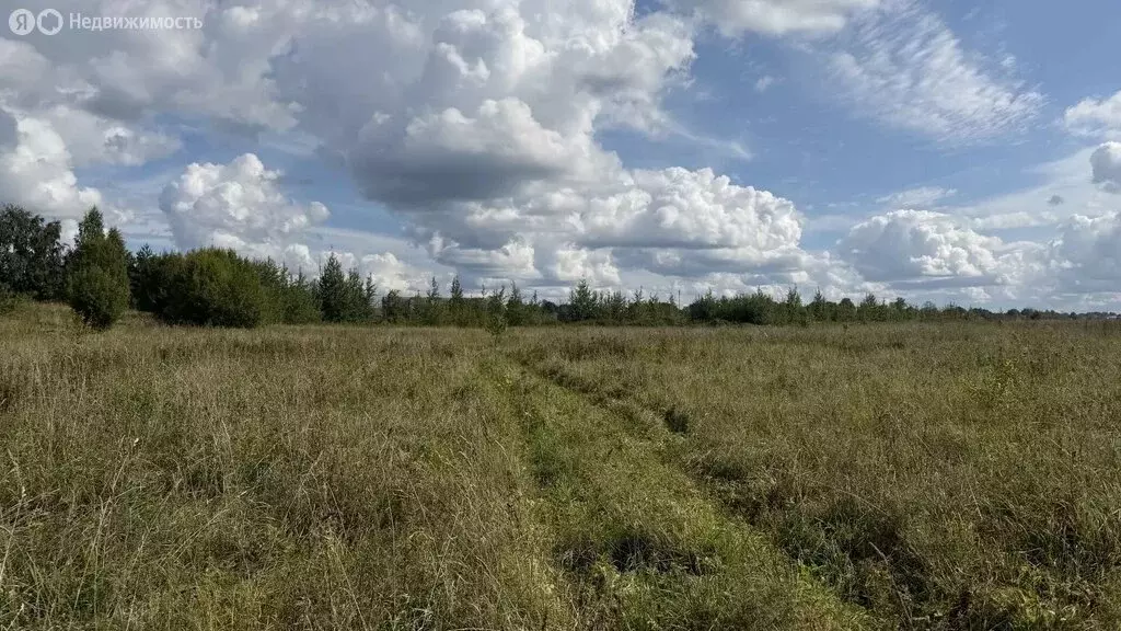 Участок в Волхов, микрорайон Шкурина Горка, квартал Г, 4 (8.5 м) - Фото 2
