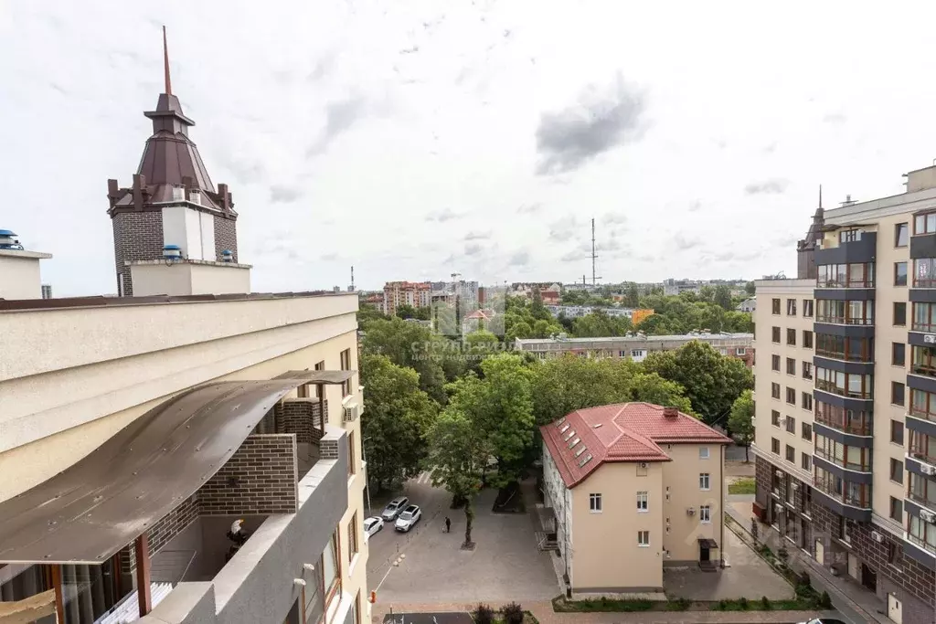 1-к кв. Калининградская область, Калининград ул. Космонавта Леонова, ... - Фото 1