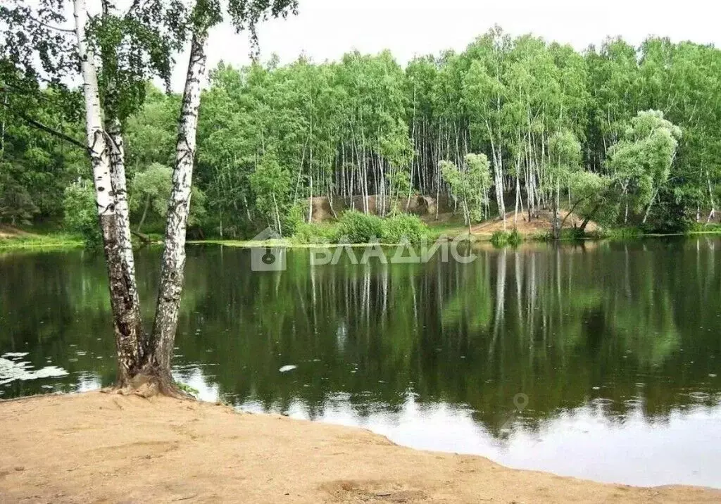 Участок в Владимирская область, Судогодский район, пос. Муромцево ул. ... - Фото 0