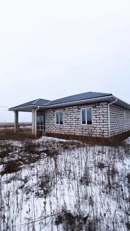 Дом в Саратовская область, Балаковский район, с. Натальино ул. Имени ... - Фото 0