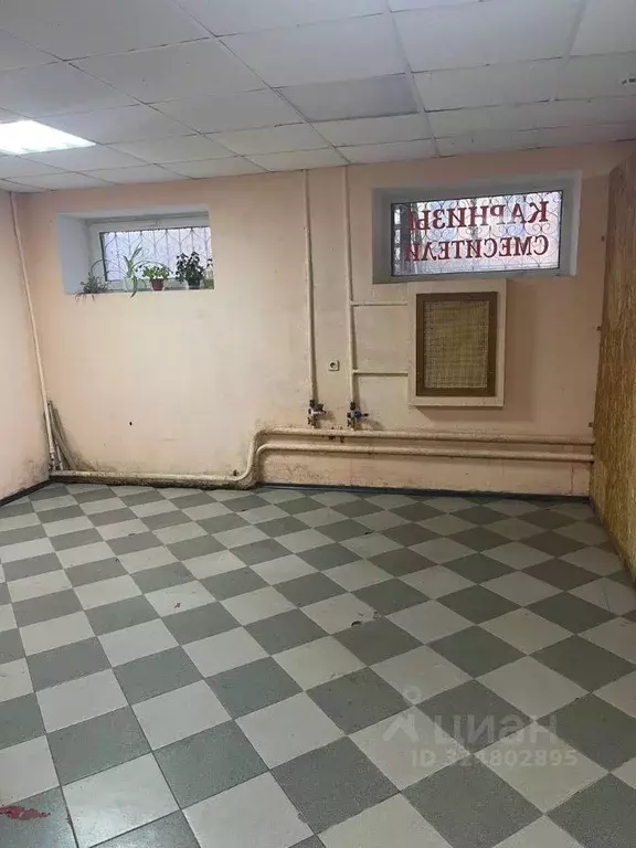 Помещение свободного назначения в Брянская область, Брянск ул. ... - Фото 1