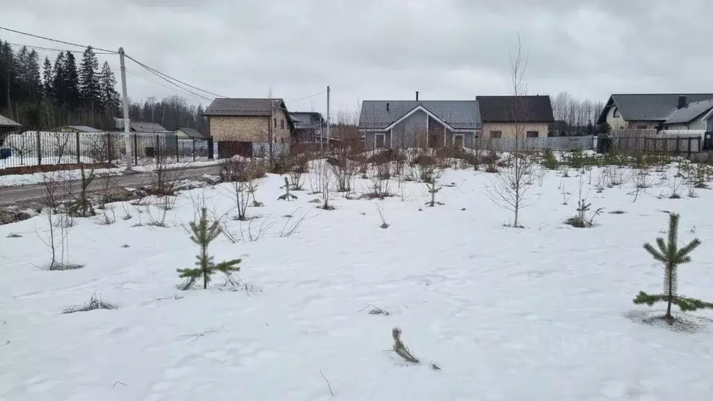 Участок в Ленинградская область, Сертолово Всеволожский район, Черная ... - Фото 0