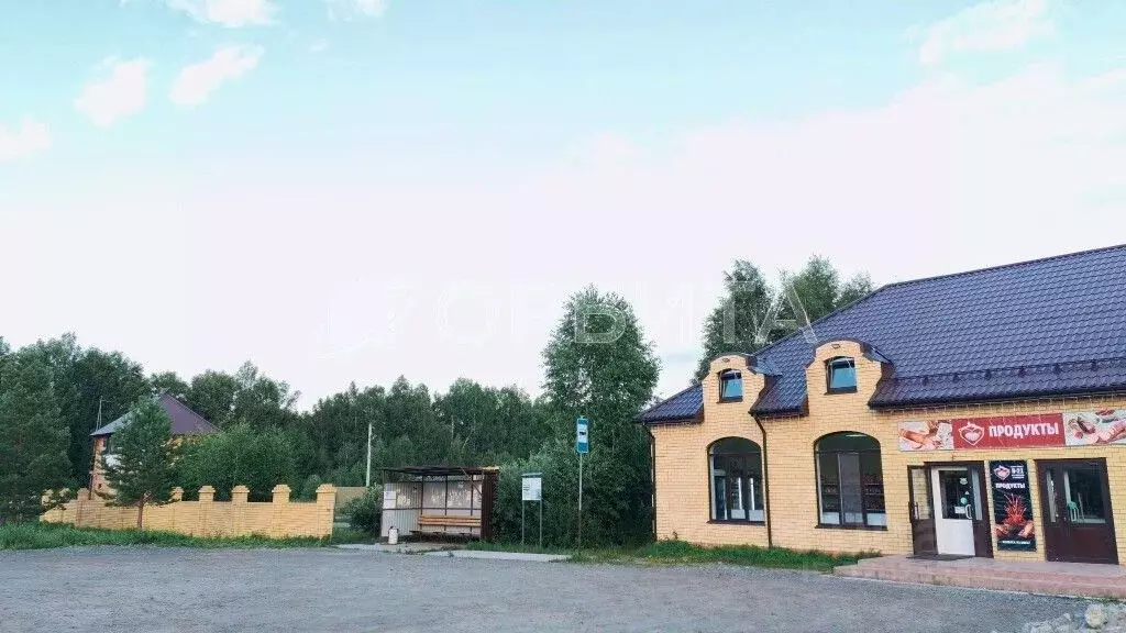Участок в Тюменская область, Нижнетавдинский район, Березка СНТ  (12.0 ... - Фото 1