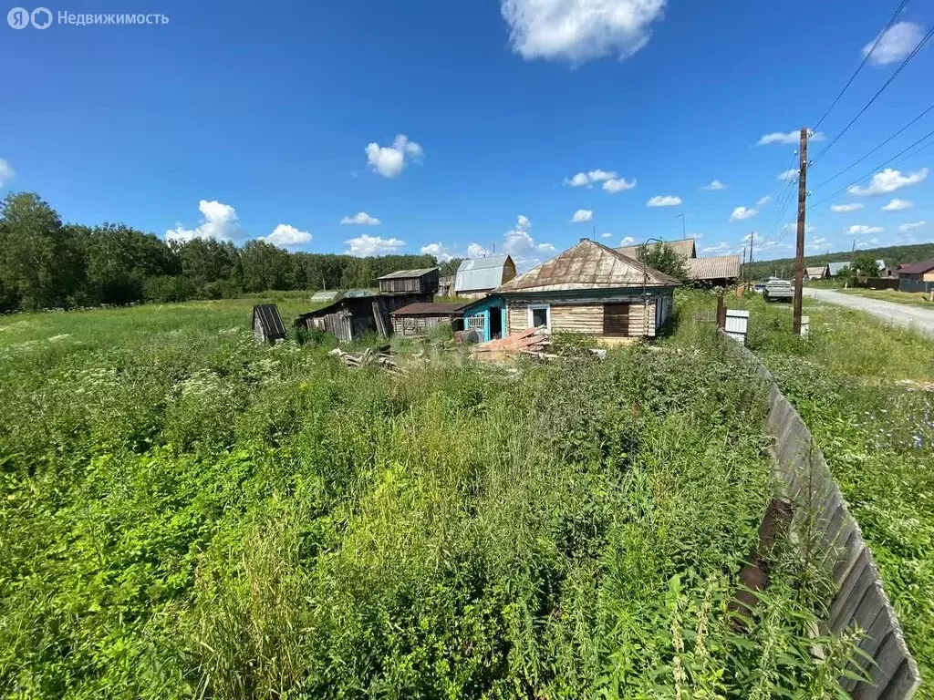 Участок в Новосибирский район, Берёзовский сельсовет, село Быково, ... - Фото 1