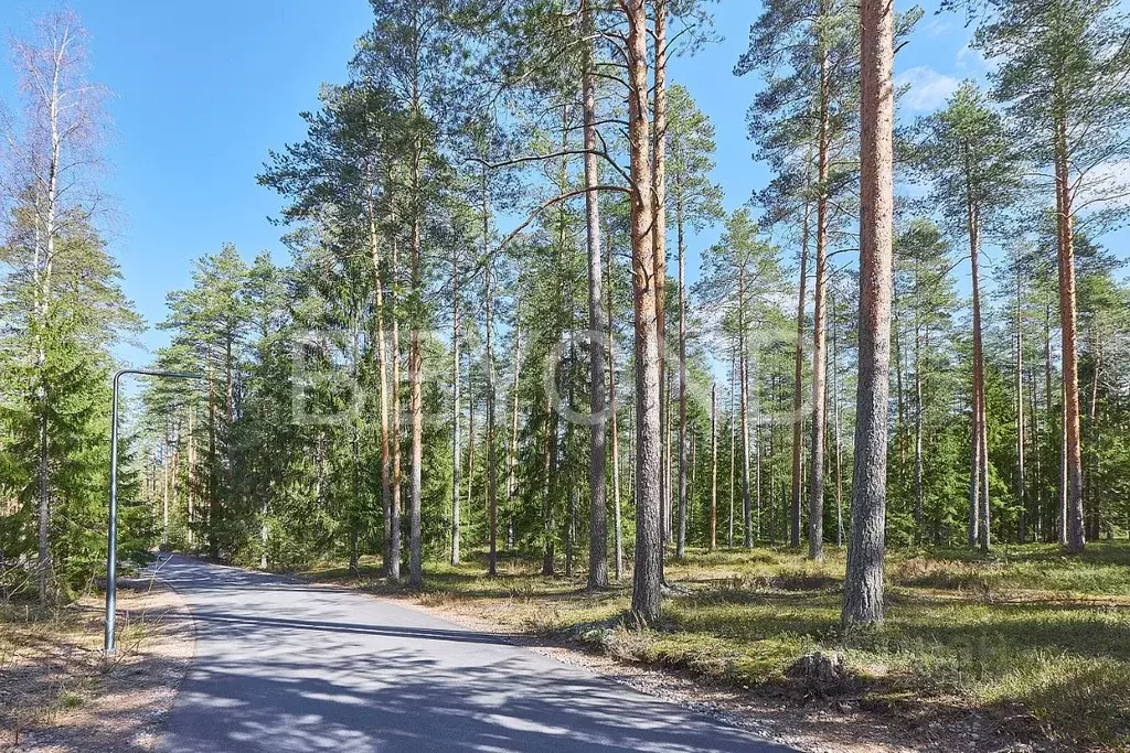 Участок в Ленинградская область, Выборгский район, Первомайское с/пос, ... - Фото 1