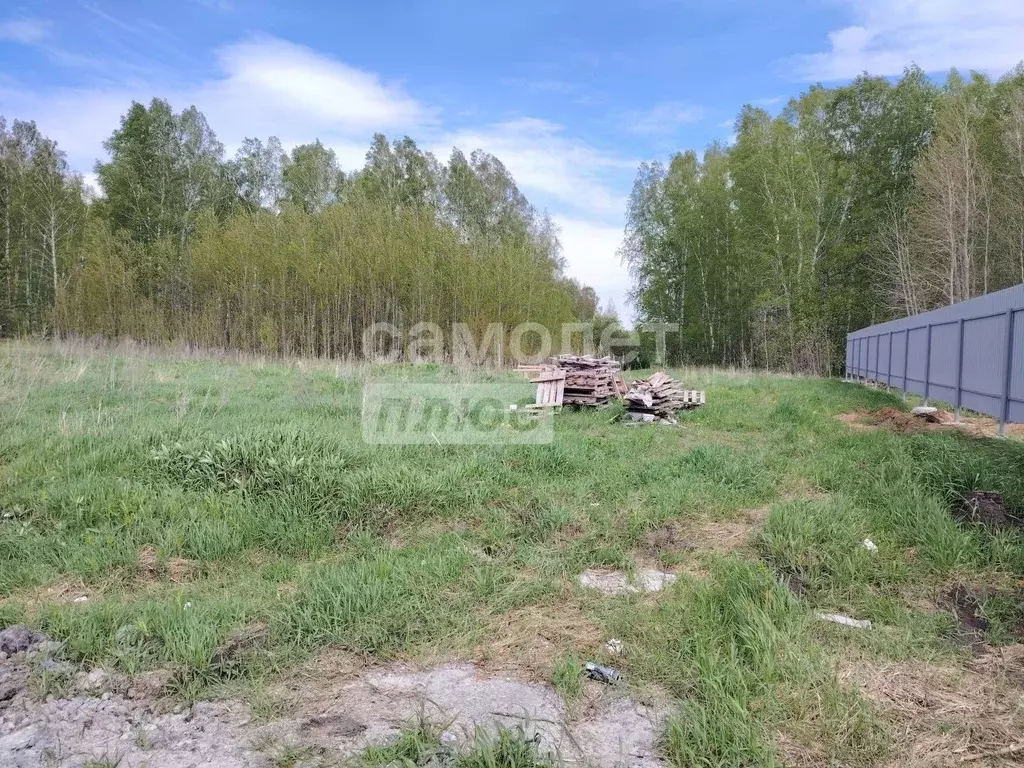 Участок в Тюменская область, Тюменский район, д. Елань ул. Тобольская ... - Фото 1
