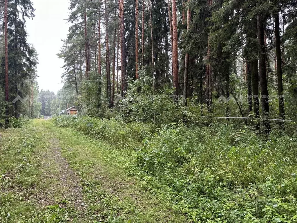 Участок в Санкт-Петербург пос. Молодежное, ул. Почтовая, 10 (42.0 ... - Фото 2