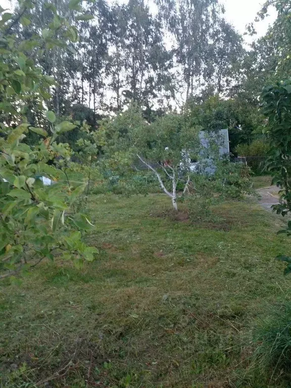 Дом в Тверская область, Конаковский муниципальный округ, Энергетик СНТ ... - Фото 2