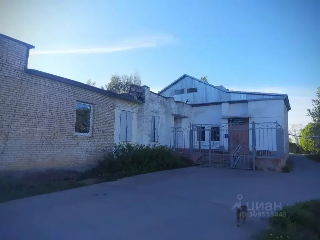 Склад в Новгородская область, Малая Вишера Лесная ул., 19 (55 м) - Фото 1