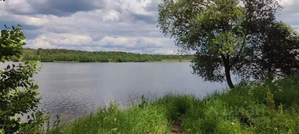 Участок в Тверская область, Тверь пос. Власьево,  (13.0 сот.) - Фото 0