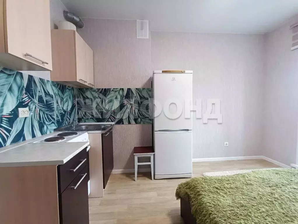 Студия Новосибирская область, Новосибирский район, Станционный ... - Фото 2