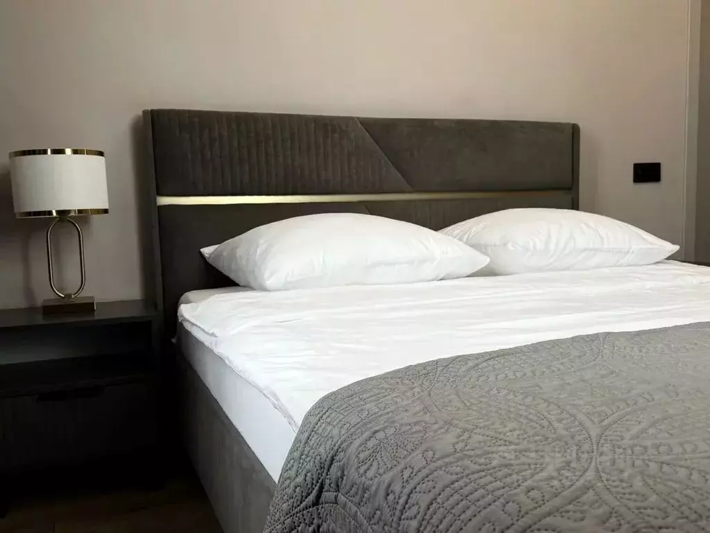 1-к кв. Псковская область, Псков Гражданская ул., 5 (42.0 м) - Фото 1