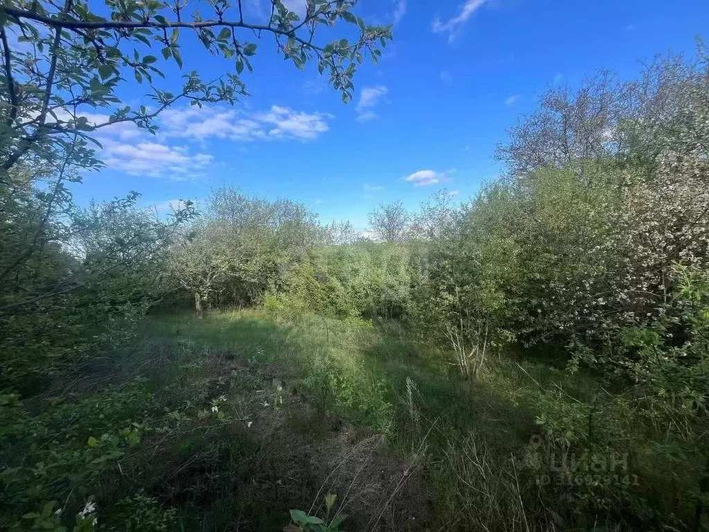 Участок в Белгородская область, Белгородский район, Беломестненское ... - Фото 1