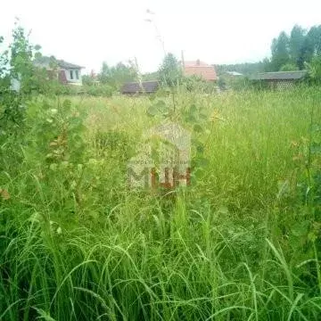 Участок в Рязанская область, Рыбновский муниципальный округ, деревня ... - Фото 1