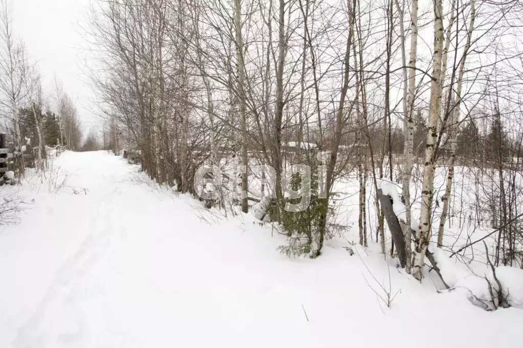 Участок в Ханты-Мансийский АО, Ханты-Мансийск Связист-2 СОТ,  (6.0 ... - Фото 1