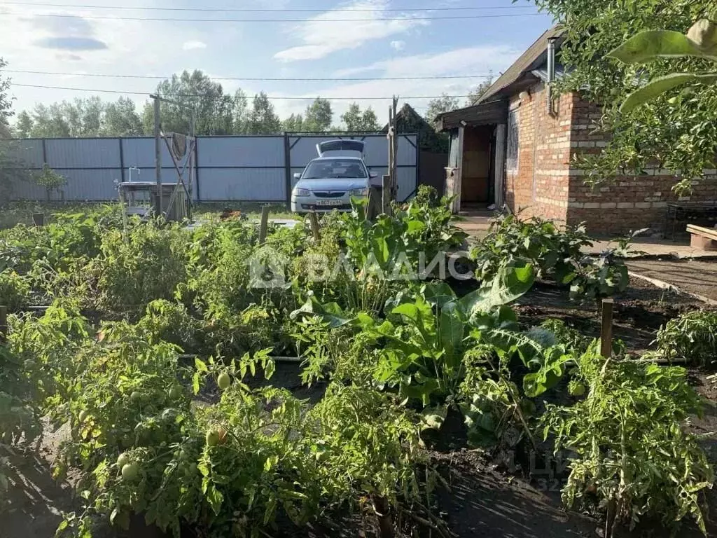 Дом в Саратовская область, Балаково Каштан СНТ, ул. Садовая, 11 (20 м) - Фото 2