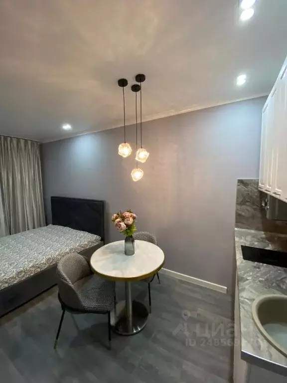 Студия Хабаровский край, Хабаровск ул. Алексеевская, 64 (20.0 м) - Фото 2