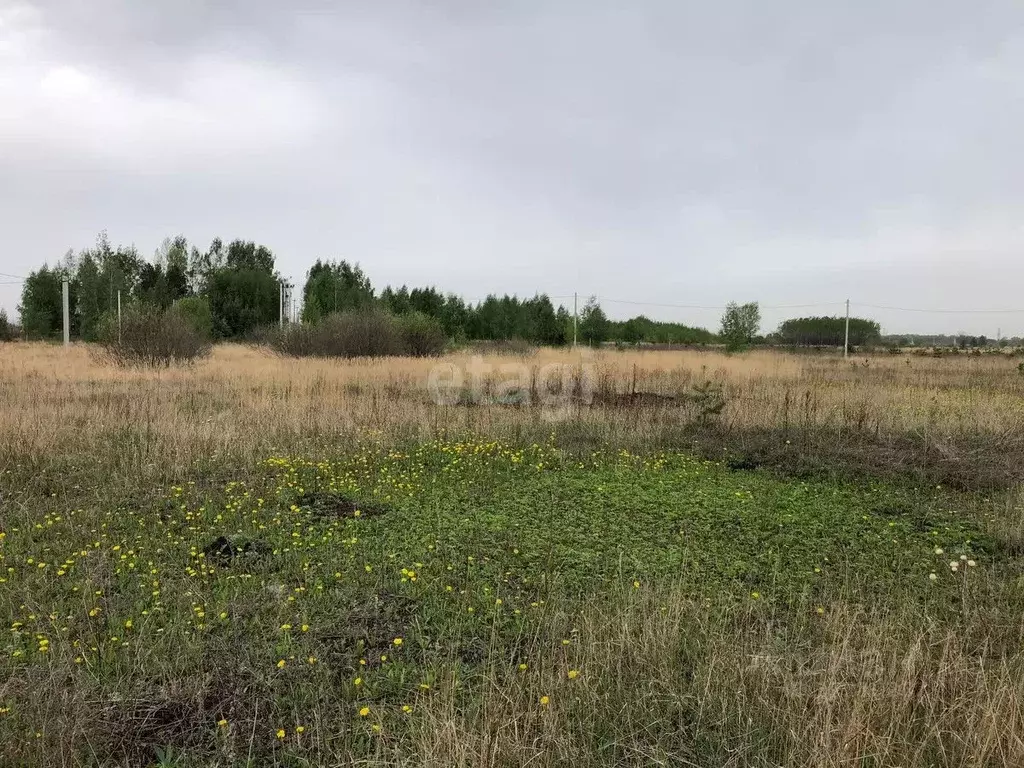 Купить Дом В Елабужском Районе Танайка